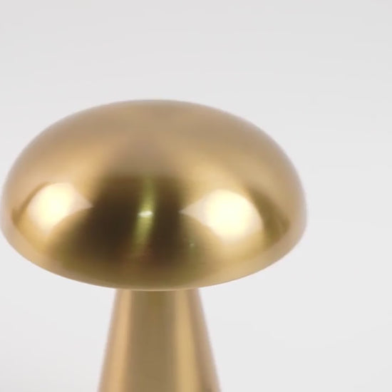 Lampe champignon EcoDesign vidéo