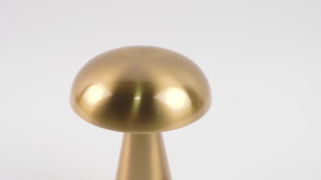 Lampe champignon EcoDesign vidéo