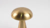 Lampe champignon EcoDesign vidéo