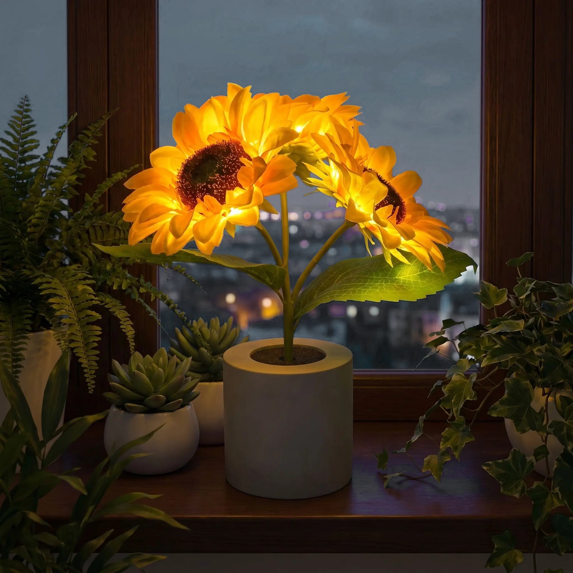veilleuse tournesol fenêtre nuit