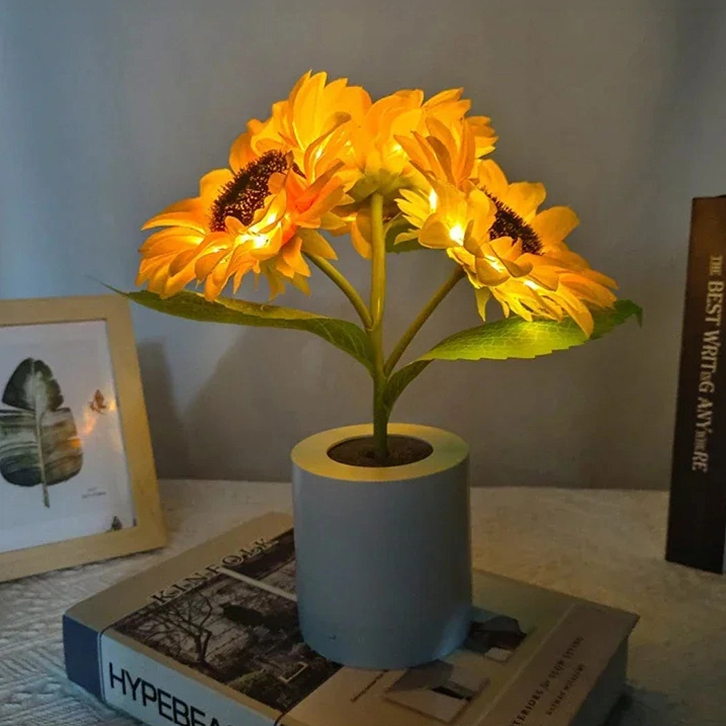 veilleuse tournesol livre cadre