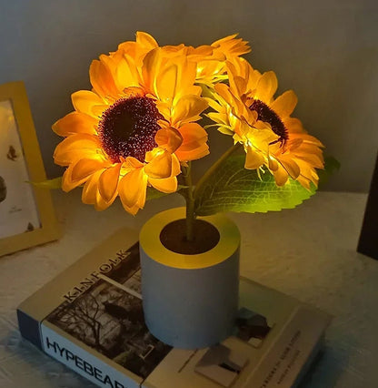 veilleuse tournesol livre