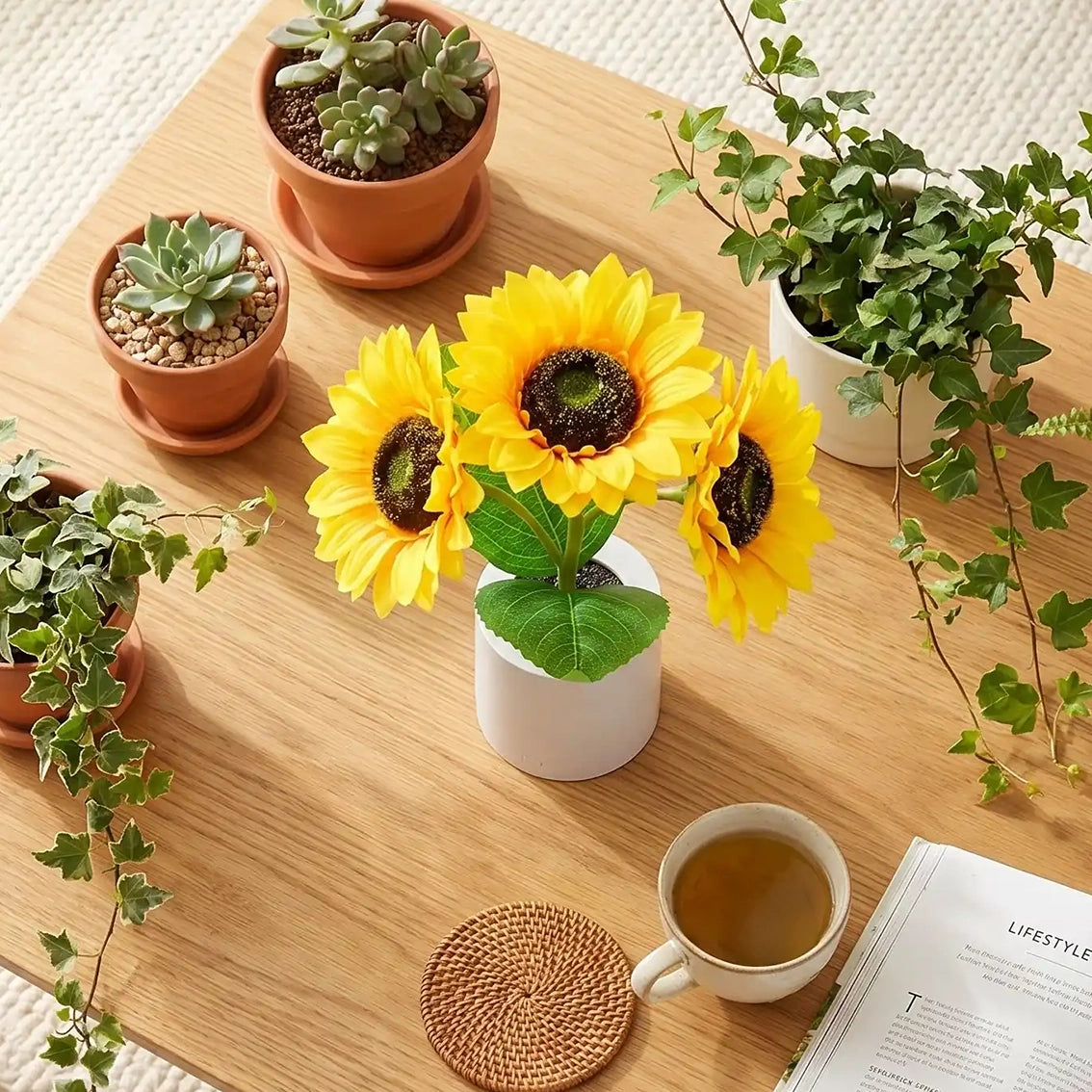 veilleuse tournesol plantes